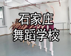 石家庄舞蹈学校